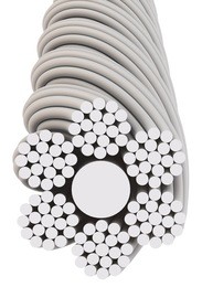 ��˿����о