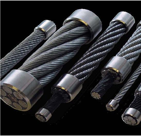 ���������˿��