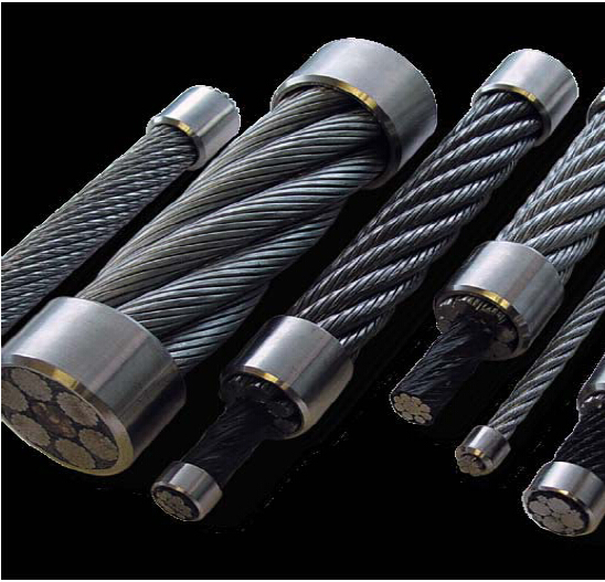 ������˿��