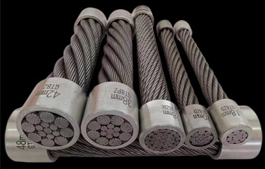 CA88����(�й���) - Ψһ�ٷ���վ